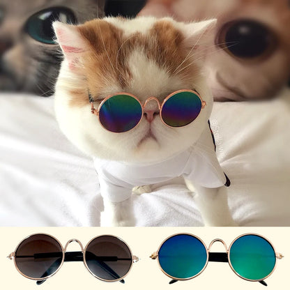 Pet Sunglasses